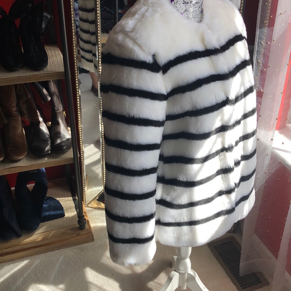 Coat - Picture 4 of 6